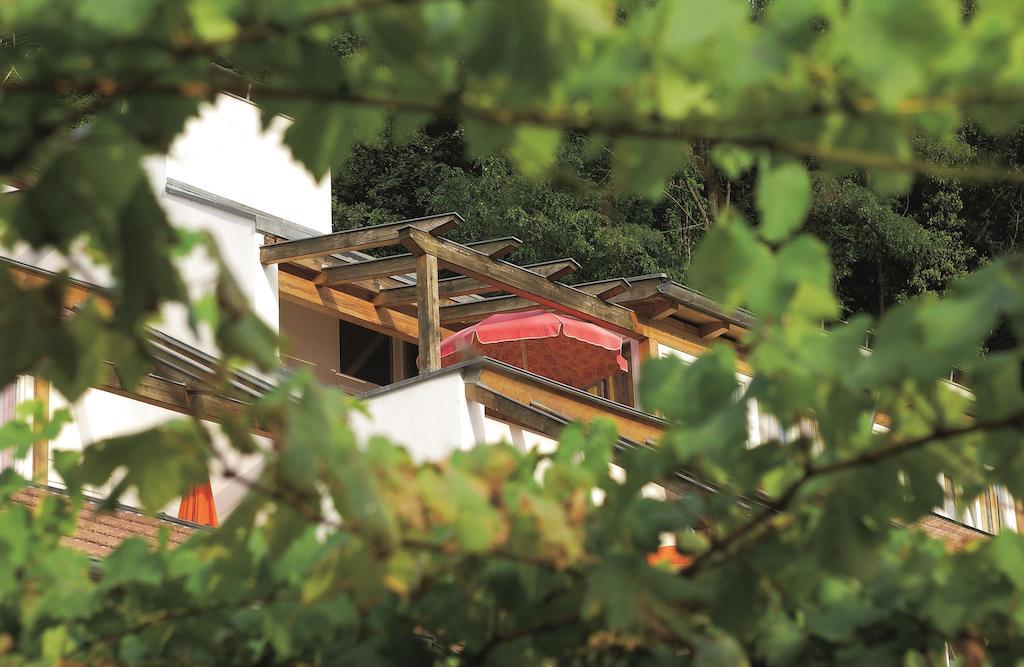 Residence Haus Kalterersee Caldaro sulla Strada del Vino Exterior foto